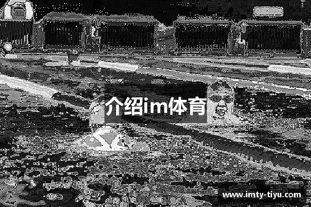 介绍im体育